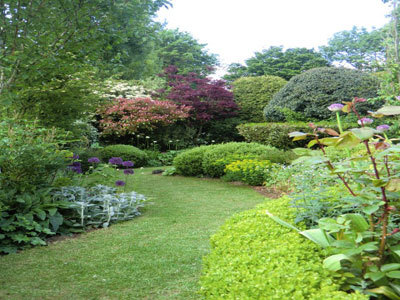 JARDIN « ENTRE CHARMILLES ET BUIS »