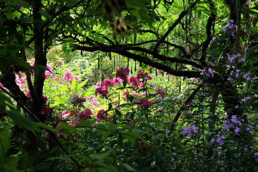 JARDIN FLORAL DU CHÂTEAU DE DIGEON
