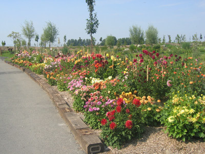 PARC FLORAL A LA FERME