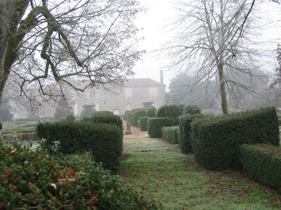 JARDIN DE GRENOUILLON