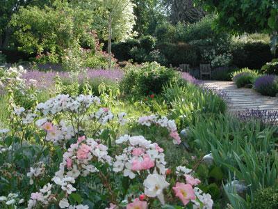 Jardin d'Elsie