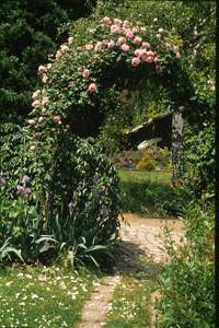 LA BONNE MAISON