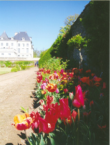 PARC DU CHÂTEAU DE MONTGEOFFROY