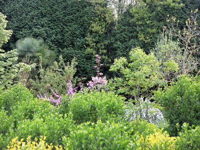 Le jardin botanique d'Alkinoos