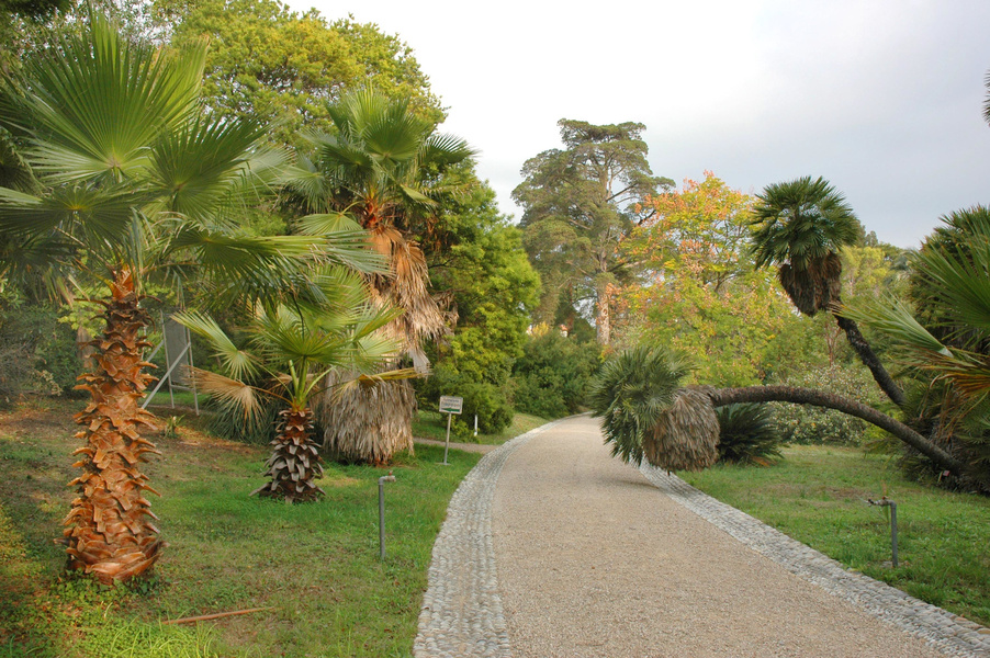 Jardin botanique de la Villa Thuret