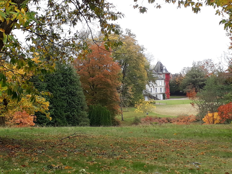 ARBORETUM DU CHATEAU DE NEUVIC D'USSEL