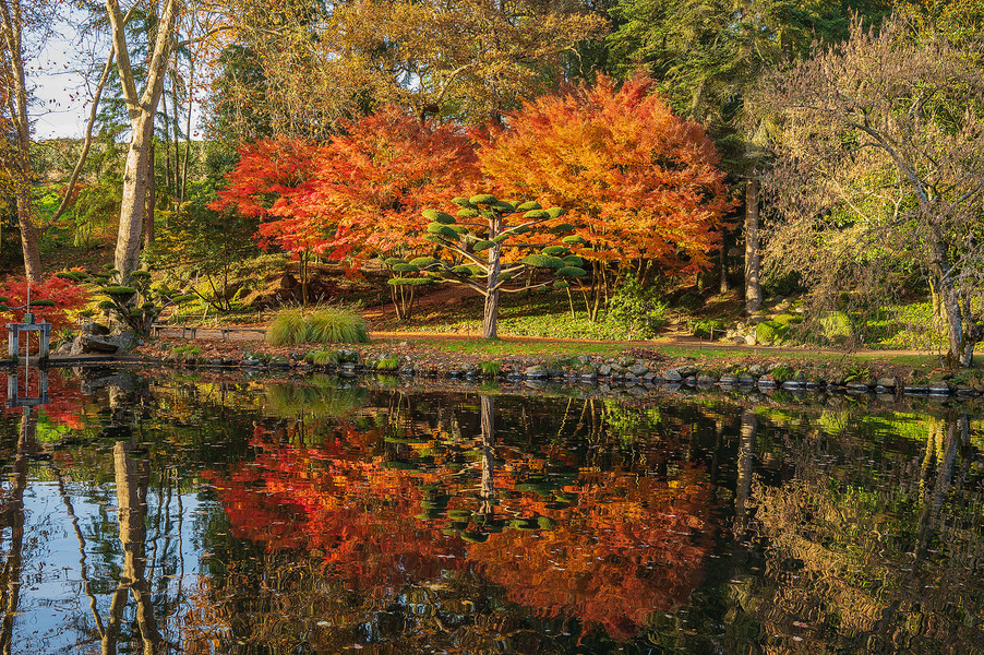 PARC ORIENTAL DE MAULÉVRIER