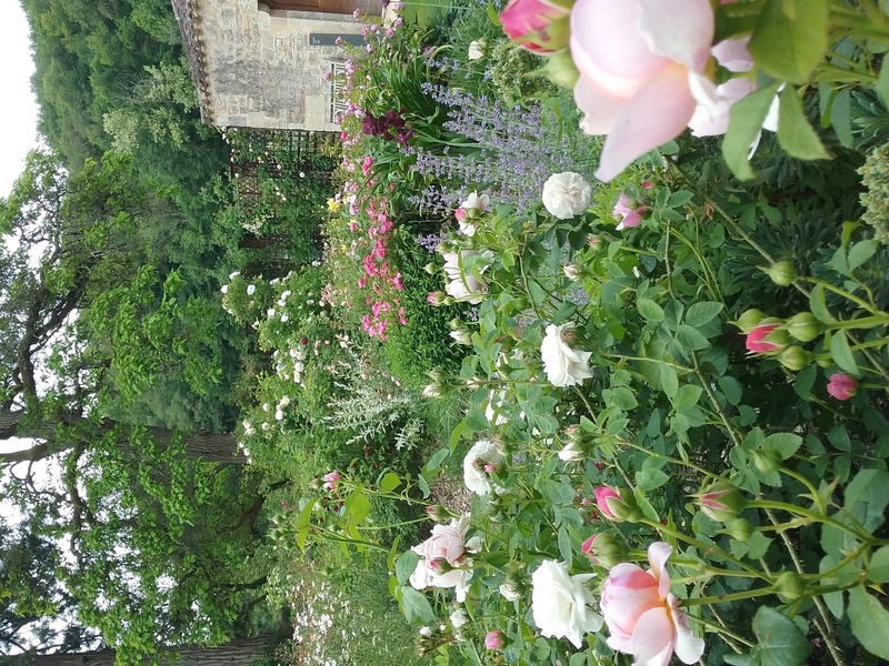 Jardin de roses de l'abbaye de Beaulieu en Rouergue