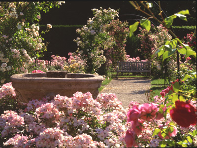 JARDINS DE L'ABBAYE ROYALE DE CHAALIS