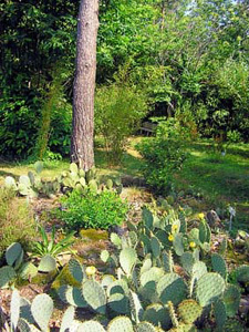 JARDIN DE LOSTANGES