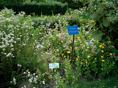 JARDIN BOTANIQUE DE MARNAY SUR SEINE