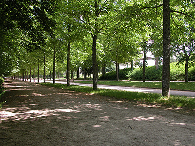 ALLÉE DE BLANCHEFONTAINE