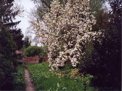 JARDIN BOHÈME