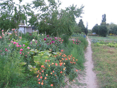 LA BARATTE LOIRE ET JARDINS