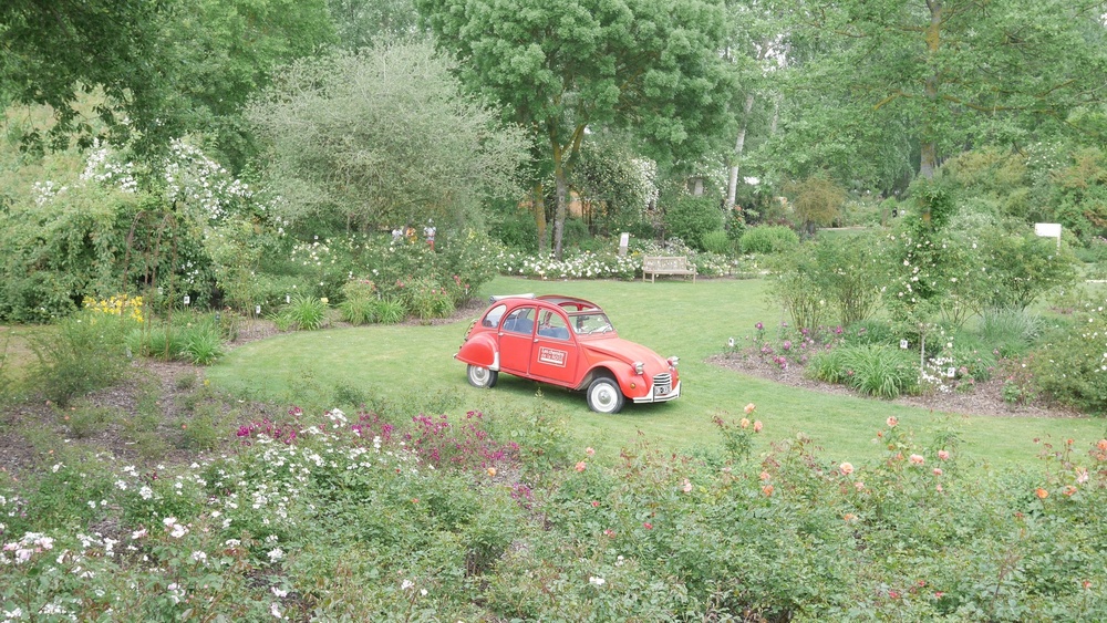 LES CHEMINS DE LA ROSE