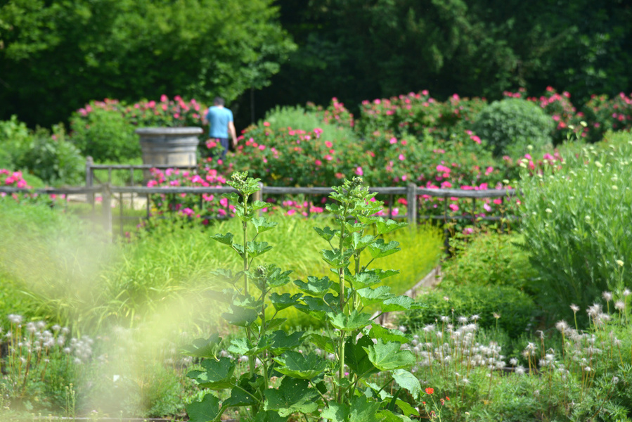 Château du Grand Jardin