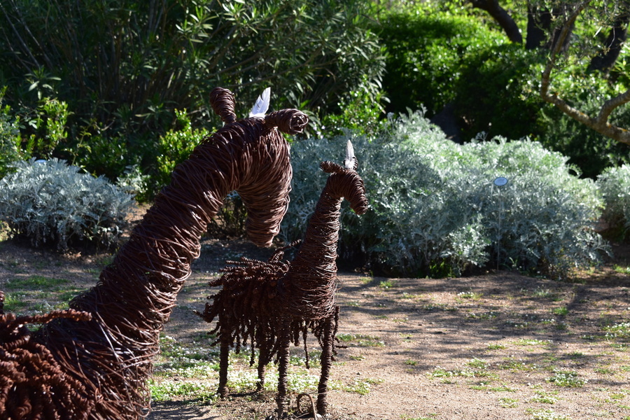 PARC DE SALECCIA