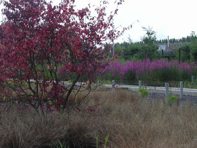 LES JARDINS DU COLYSÉE