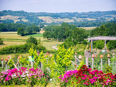 Le jardin des Alôsnys