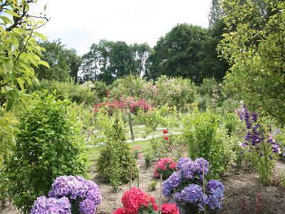 Parc de l'abbaye de Vaucelles