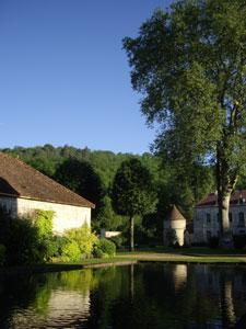 Jardin de l'Abbaye de Fontenay