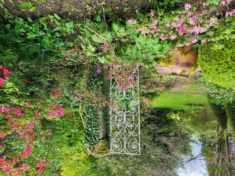 LE JARDIN DES SONGES