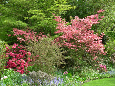 JARDIN DE LA PETITE ROCHELLE