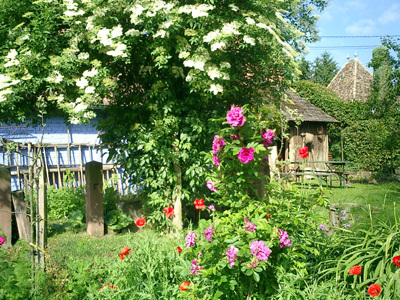 LE JARDIN DE LA FORGE BLEUE