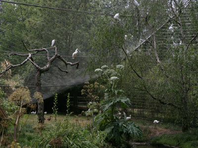 PARC LES OISEAUX