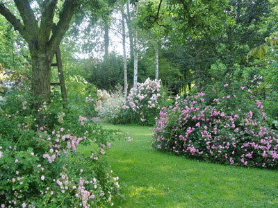 JARDIN DU MOULIN VENTIN