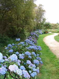 PARC BOTANIQUE DE CORNOUAILLE