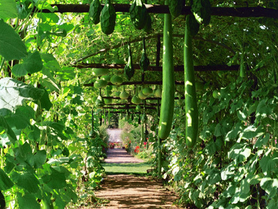 PARC ET JARDINS DU CHÂTEAU DE MONTRIOU