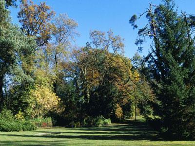 PARC DU CHÂTEAU DE LA GRANGE AUX CHAMPS