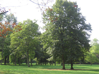 DOMAINE NATIONAL DE SAINT-CLOUD