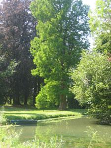 Les Jardins de la Lys