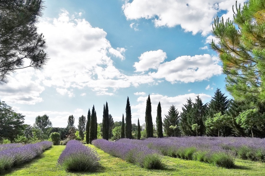 LES JARDINS DU COQ