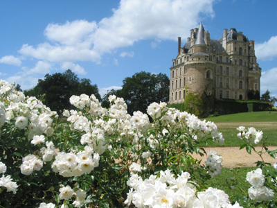 PARC DU CHÂTEAU DE BRISSAC