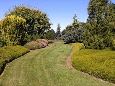 JARDIN BOTANIQUE DES MONTAGNES NOIRES