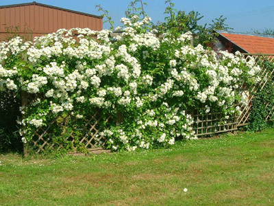 HAMEAU D'ORCOURT