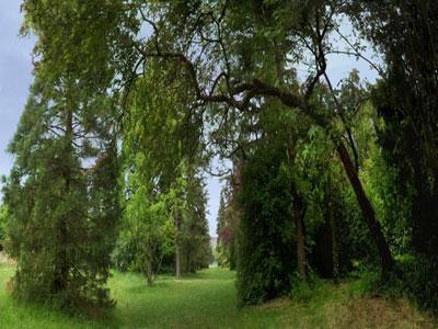 Arboretum de Verrières-le-Buisson Réserve naturelle Roger de Vilmorin