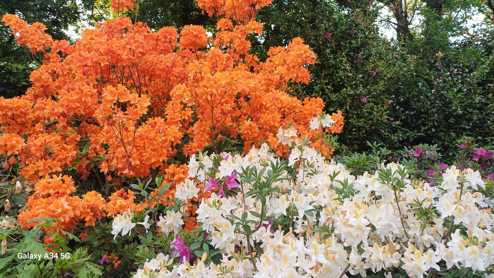 Un Jardin à Landrévarzec