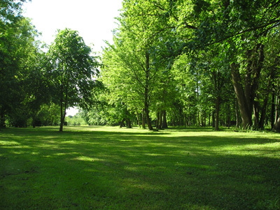 PARC ET JARDIN DE BARBEREY SAINT-SULPICE