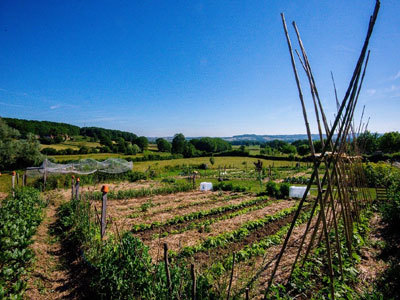 Le jardin des Alôsnys