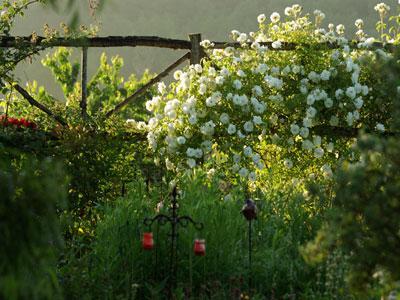 Les Jardins de la Poterie Hillen