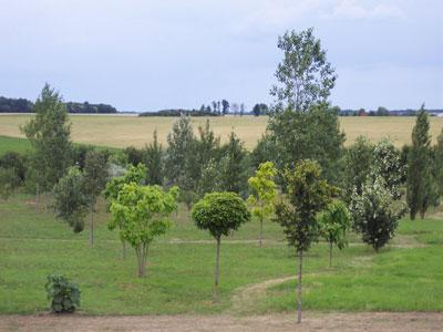 ARBORETUM DE LA PETITE LOITERIE