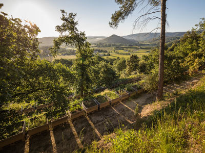 Le Romarin – Jardin botanique de la Citadelle