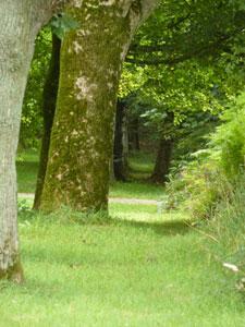 Parc et jardins du Château de Kergroadez