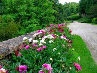 PARC DU CHÂTEAU DE CHASTELLUX