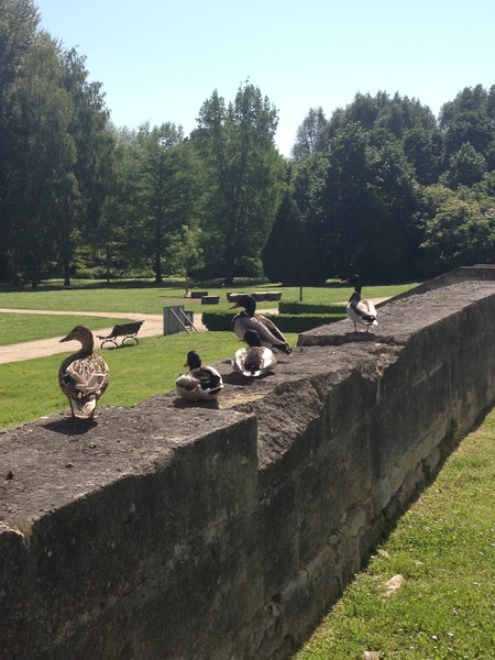 PARC DE L'ABBAYE DE MAUBUISSON