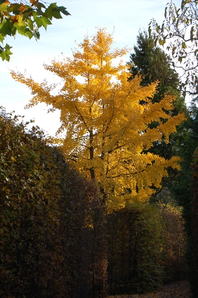 JARDINS PHILOSOPHIQUES DE LOMBARDIE